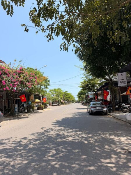 Đất mặt tiền Nguyễn Đình Tứ, 97mv, 6290