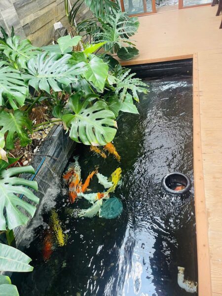 Nhà biệt thự mặt tiền Khánh an, 150mv, 8700