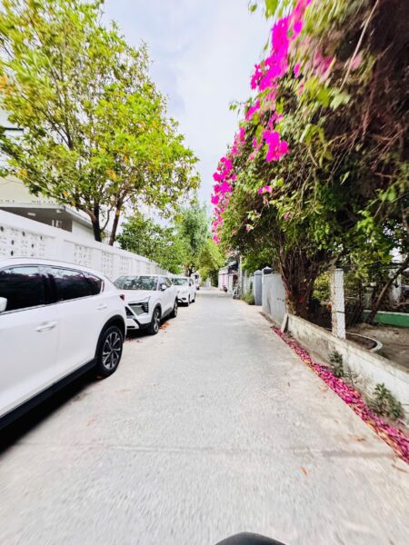 Nhà mê lửng kiệt Tô hiệu 103mv 3870