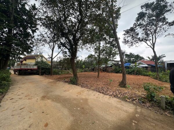 Đất kiệt Nguyễn Lương bằng 125mv, 1ty490
