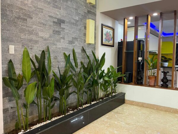 Cho thuê nhà 3 tầng mặt tiền Đỗ Huy Uyển