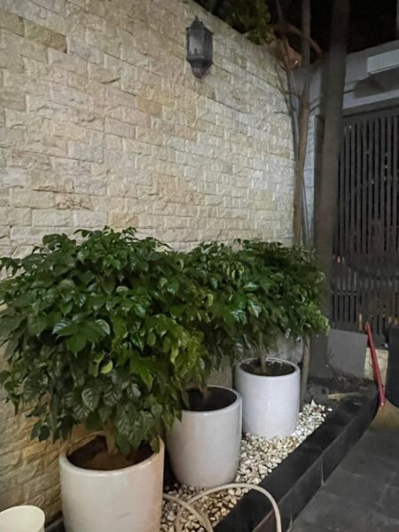 Cho thuê nhà 3 tầng mặt tiền Đỗ Huy Uyển