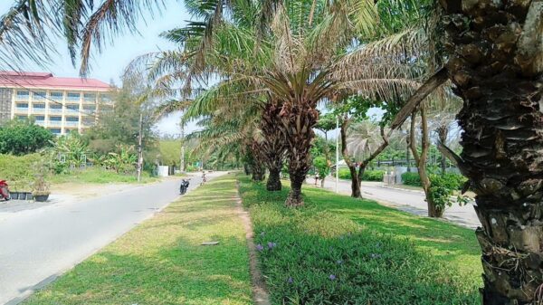 Đất mặt tiền Âu Cơ, Hội An, 970mv, 77ty