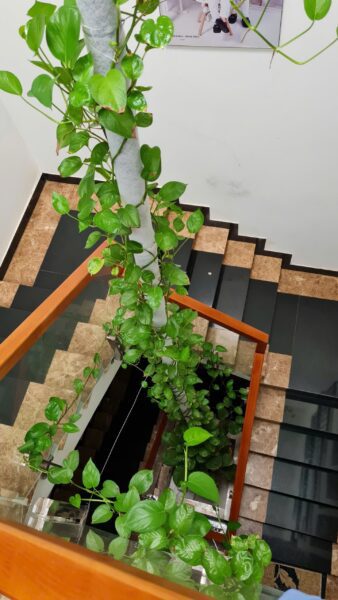 Nhà 3 tầng mặt tiền Hoà Nam, 100mv, 7600