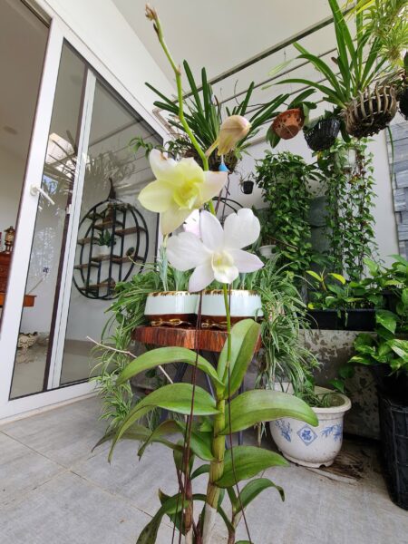 Nhà 3 tầng mặt tiền Hoà Nam, 100mv, 7600