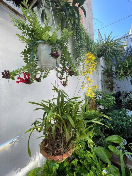 2 nhà liền kề 2 tầng kiệt ô tô Châu Văn Liêm 11ty