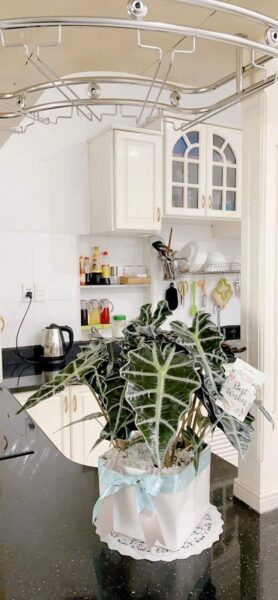 2 nhà liền kề 2 tầng kiệt ô tô Châu Văn Liêm 11ty