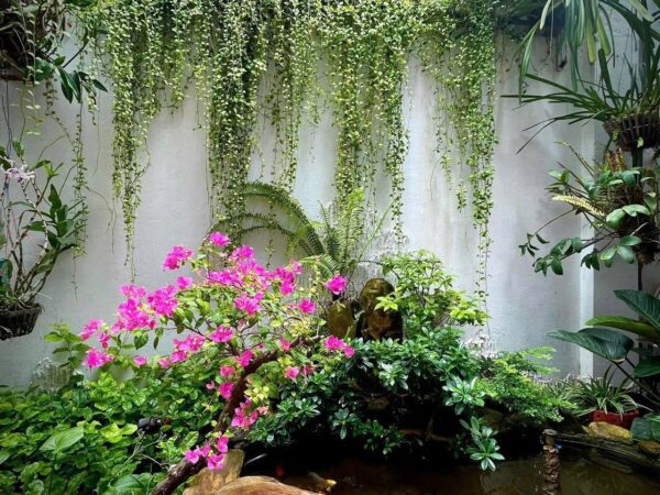 2 nhà liền kề 2 tầng kiệt ô tô Châu Văn Liêm 11ty