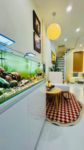 Nhà 2 tầng kiệt Trần cao Vân 40mv, 3520