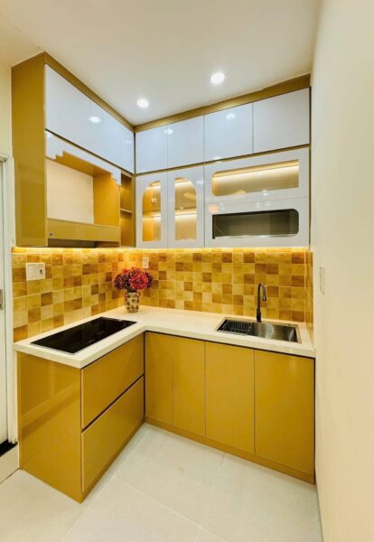 Nhà 2 tầng kiệt Trần cao Vân 40mv, 3520
