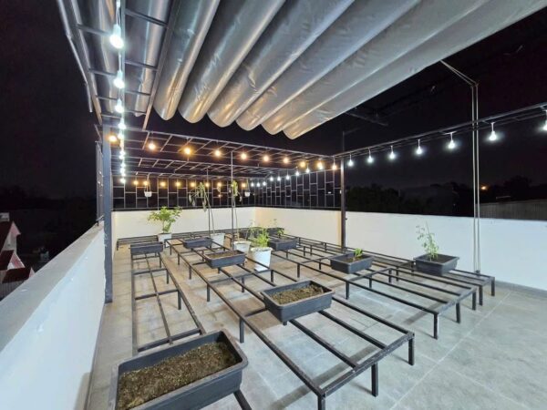 Nhà 3 tầng kiệt ô tô Tôn Đản 123mv, 5250