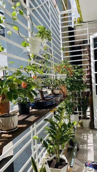 Nhà 2 tầng kiệt Phạm Văn Nghị 28mv, 2ty5